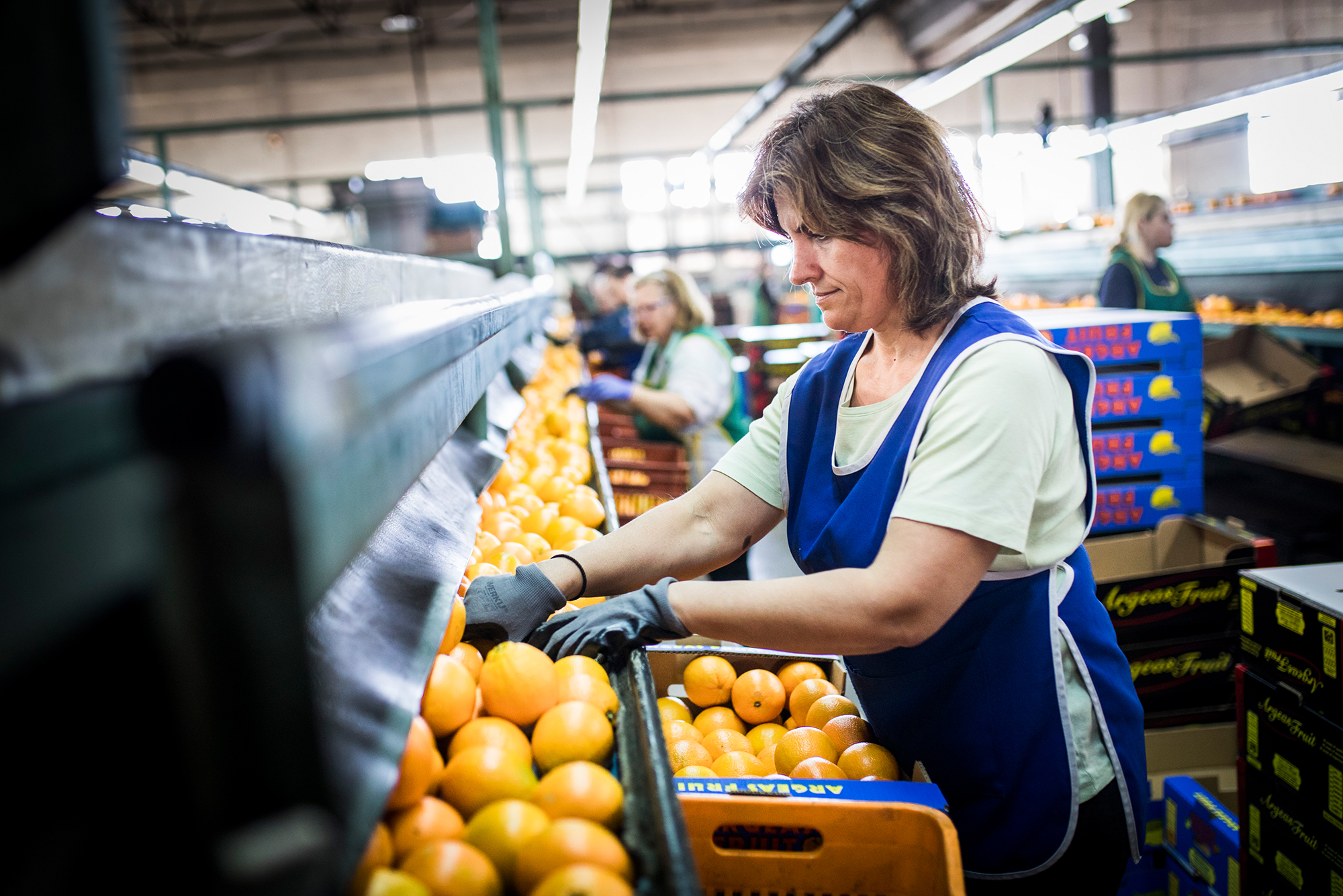 В Украине провели первое исследование благосостояния во время войны: что показали результаты